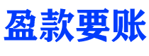 龙海盈款要账公司